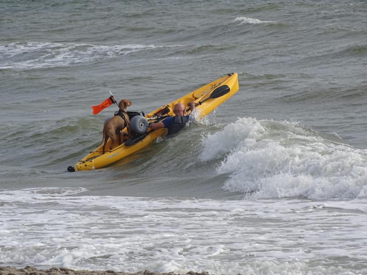 Vakantiewoning "Aan Het Bosje" Zoutelande - Strand 200M ! Zewnętrze zdjęcie